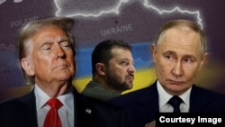 Дональд Трамп, Володимир Зеленський, Володимир Путін. Колаж