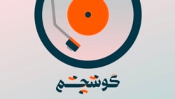 موسیقی، طبیعت و فرهنگ
