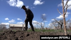 Սմբատ Գրիգորյանը հողն է մշակում