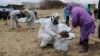 Глава Минприроды: пляжи Анапы восстановят к лету 2026 года