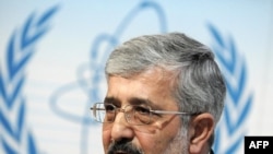 علی اصغر سلطانيه، نماينده ايران در آژانس بين‌المللی انرژی اتمی 