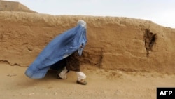 عکس تزئینی است.