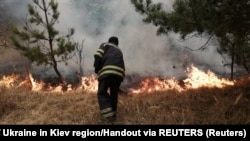Пажарнік гасіць агонь у 30-кілямэтровай зоне каля Чарнобыльскай АЭС. Красавік 2020 году