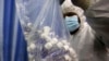 A health official in protective gear holds samples collected from people at a screening and testing facility for COVID-19 in Peshawar. (file photo)
