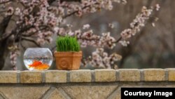 Norooz 1394