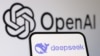 DeepSeek