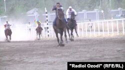 Рахш - пешсафи мусобиқаи пойга шуд