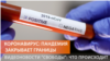 Россия закрыла границу с Белоруссией