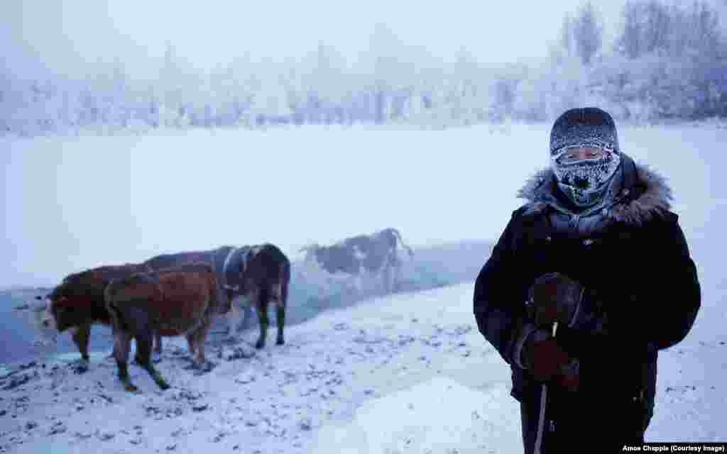 Оймякон атауы жергілікті тілден аударғанда "Қатпайтын су" деген мағына береді. Малдар су ішіп жатқан бұлақ қыс бойы қатпайды. 