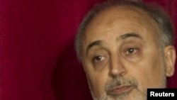 علی‌اکبر صالحی، سرپرست وزارت امور خارجه ایران