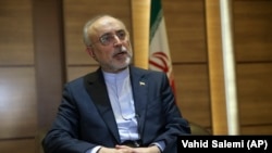 علی اکبر صالحی، رئیس سازمان انرژی اتمی ایر