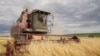 Belarus - Combine harvesters and people who work on them. Vetka district, 22Jul2020