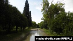 فایل فوټو 