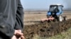 Грузинское правительство приняло программу по распространению гибридных сортов кукурузы в рамках общей стратегии развития сельского хозяйства в помощь фермерам