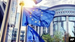 Европа парламенти. Иллюстрациялык сүрөт.