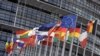Şu günler Ýewropa Parlamentinde strategiýanyň 5 ýyllygy bilen baglylykda ÝB-niň resmileriniň adam hukuklaryny goraýjylar bilen ýörite duşuşyklary geçirilýär.