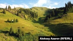 Кокжайляу летом. Алматы, 20 июля 2012 года. 