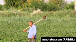 Daýhan