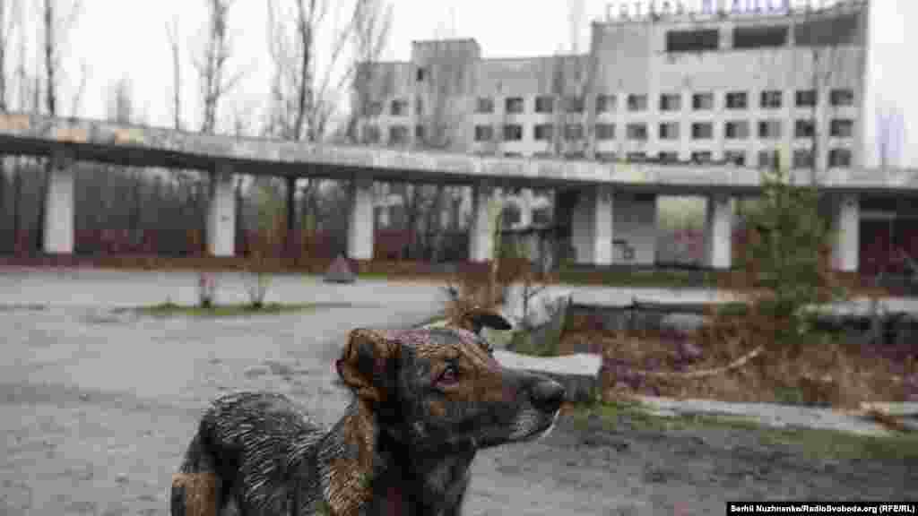 «Асоціація чорнобильських туроператорів» спільно з адміністрацією зони відчуження домагається надання Прип'яті статусу «музею», пам'ятника українського значення і пам'ятки ЮНЕСКО. Зараз для цього готують пакет документів