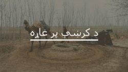 د جنوبي وزیرستان د بدامنۍ د پېښو تر شا څه دي؟