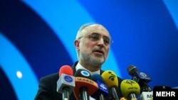 علی‌اکبر صالحی، رئیس سازمان انرژی اتمی ایران 
