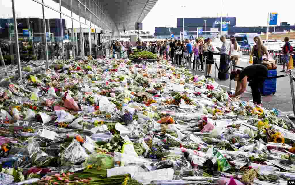 Нідерланди - Квіти в пам'ять жертв збитого авіалайнера MH17 в аеропорту Схіпхол, недалеко від Амстердама, 25 липня 2014 року