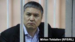 Камчы Көлбаев, 2013-жыл.