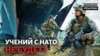 donbass 4