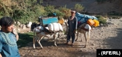 Daikun welaýatynyň Gizab etrabynda ýüzlerçe mazşgala "Talyban" tarapyndan öýlerinden zor bilen göçürildi.