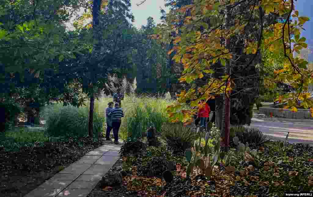 Park alleyasında